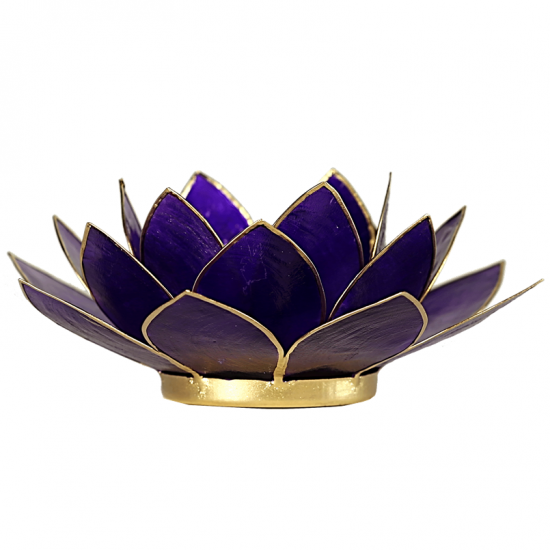 Chakra 7 Lotus sfeerlicht Capiz violet met goudrandje