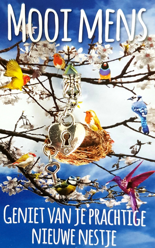 Mooi Mens kaartje - Geniet van je prachtige nieuwe nestje (hartslot-sleutel)