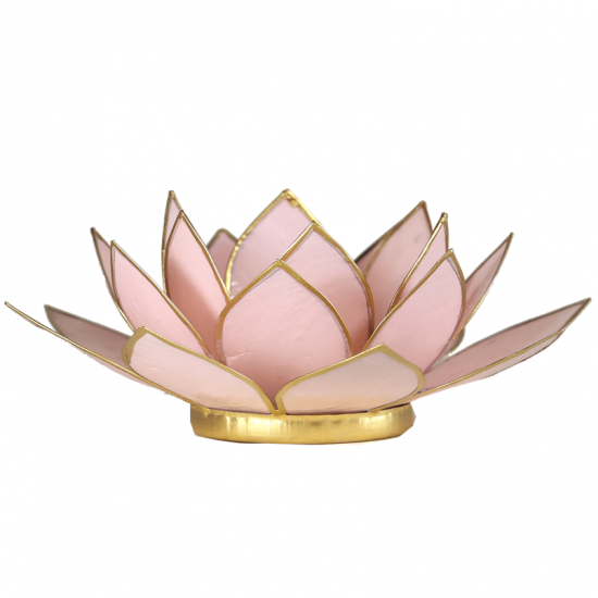Lotus sfeerlicht goudrand pastel roze, 13,5 cm
