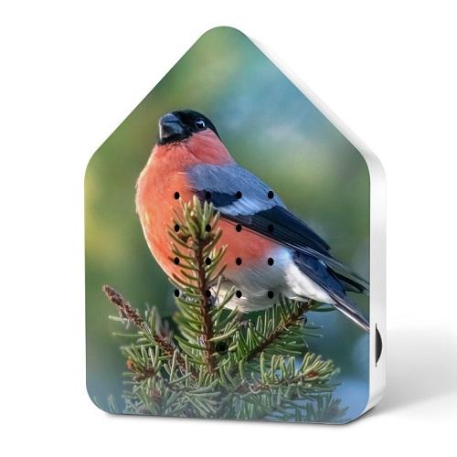 images/productimages/small/zwitscherbox-bosvogels-goudvink-limited-edition-2025.jpg