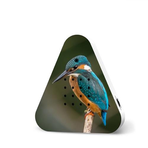 images/productimages/small/zwitscherbox-lakeside-ijsvogel-limited-edition-2025.jpg