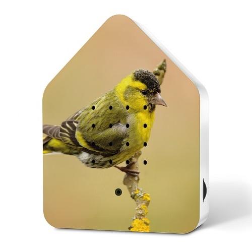 images/productimages/small/zwitscherbox-le-spring-24-happy-birds-eurasian-siskin.jpg