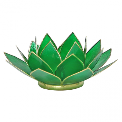 Chakra 4 Lotus sfeerlicht Capiz groen met goudkleurig randje