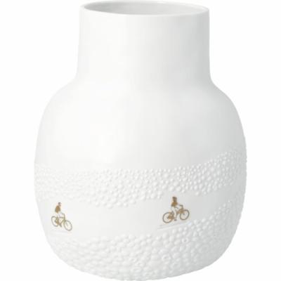 Räder Vaas Fietsen door de  Bloemenvelden