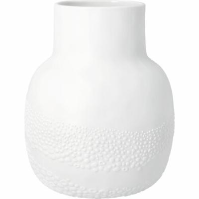 Räder Vaas Fietsen door de  Bloemenvelden