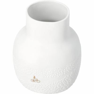 Räder Vaas Fietsen door de  Bloemenvelden