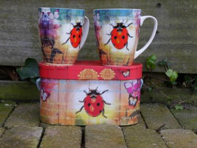 PPD mokkenset Ladybug & Flowers porselein