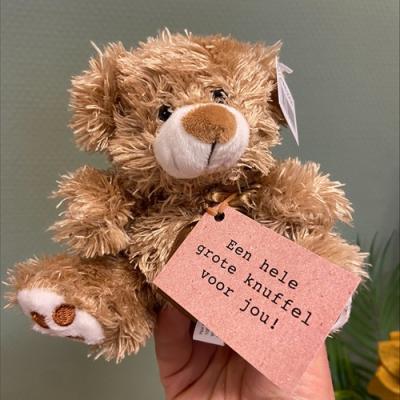 Beertje lichtbruin Een grote knuffel voor jou!