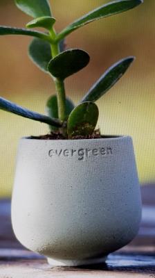 Räder Flower Friend Evergreen, bloempotje