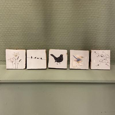 Vanons2 mini tegeltje 5x5 Vogels op de lijn