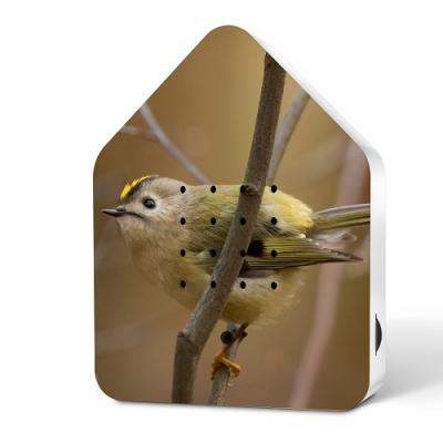 Zwitscherbox Limited Edition Vogelhuisje Goldcrest (Goudhaantje)