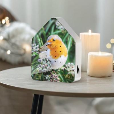 Zwitscherbox Bosvogels Roodborstje Limited Edition